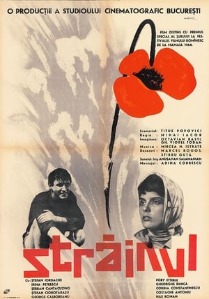 Poster Străinul 1964