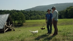 La ferme et son état