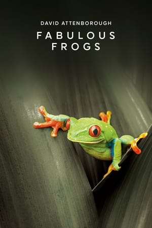 Poster Fabulous Frogs 2014