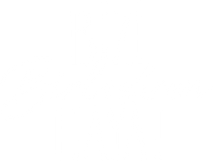 Bizi Birleştiren Hayat