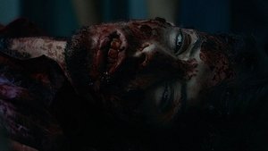 La noche del virgen (2016)