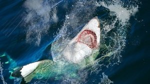 Oglądaj film Jaws Invasion PL
