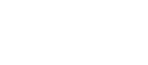 Superintelligence