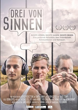 Poster Drei von Sinnen (2017)
