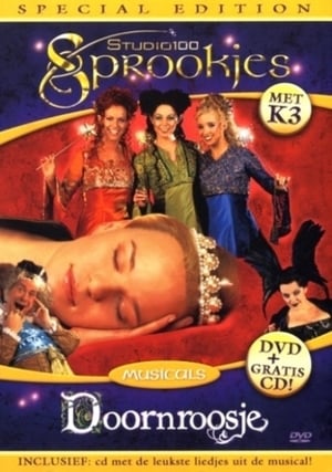 Poster Studio 100 Sprookjes Musicals - Doornroosje met K3 (2002)