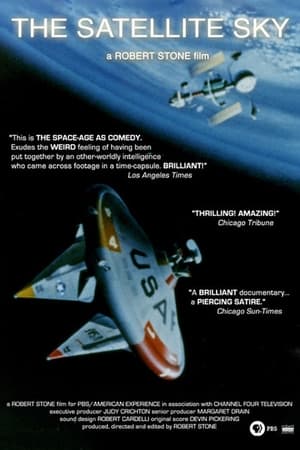 Poster The Satellite Sky 1990
