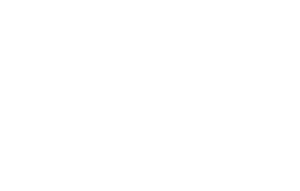 Reizen Waes — Logos 1