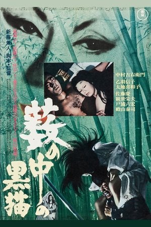 Image 藪の中の黒猫