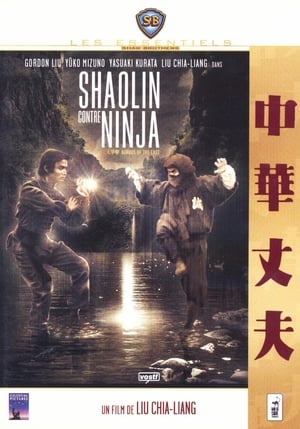 Image Shaolin contre Ninja