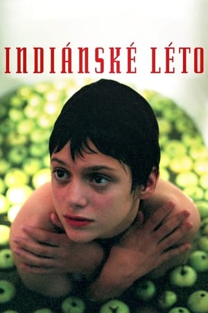 Poster Indiánské léto 1995