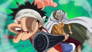 One Piece: Season 19 Episode 865