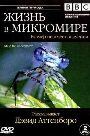 Poster Жизнь в микромире Сезон 1 Высокоразвитые сообщества 2005