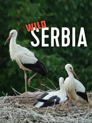 Image Wild Serbia
