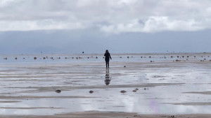 Buried in the desert