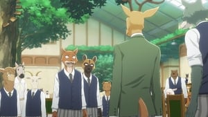 Beastars Episódio 02