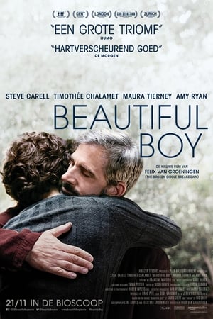 Poster Beautiful Boy 2018