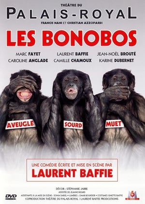 Poster Les Bonobos 2012