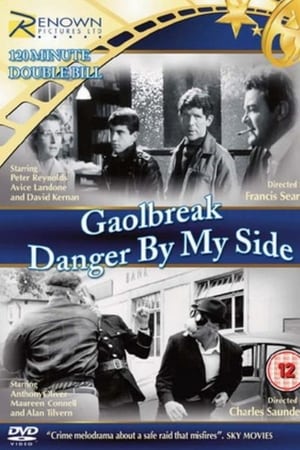 Danger by My Side poster