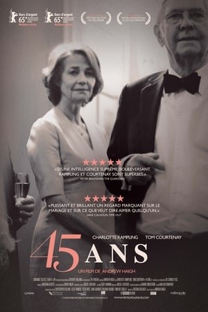 Poster 45 ans 2015