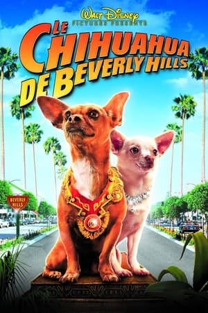 Poster Le Chihuahua de Beverly Hills 2008