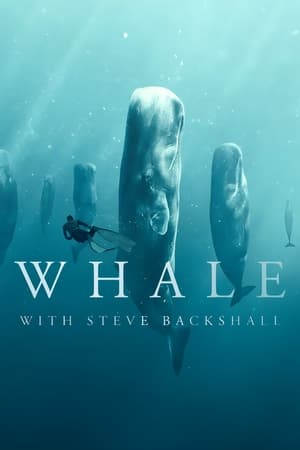 Image Whale with Steve Backshall