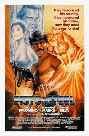 Poster Fists Of Steel (1991)