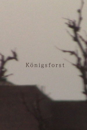 Königsforst
