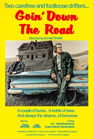 Poster di Goin' Down the Road