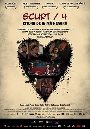 Poster Scurt/4: Istorii de inimã neagrã 2014