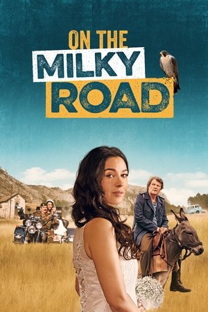 On the Milky Road 2016