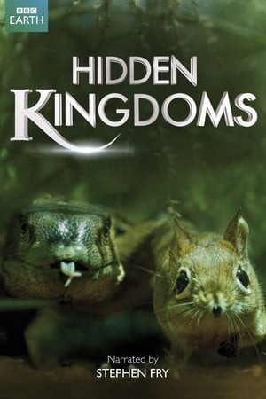 Image Hidden Kingdoms – Im Reich der kleinen Tiere