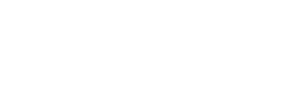 Next Day Air