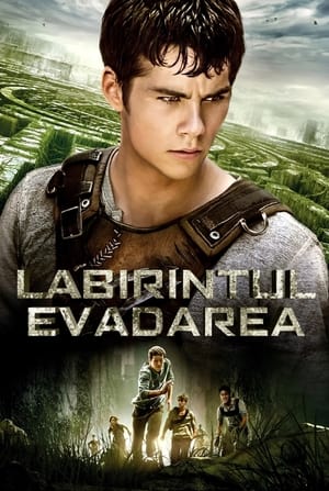 Poster Labirintul: Evadarea 2014