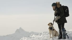 The Mountain Between Us(2017)