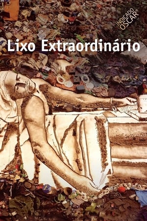 Poster Lixo Extraordinário 2010