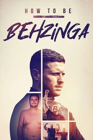 Poster How to Be Behzinga 2020