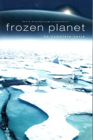 Image Frozen Planet