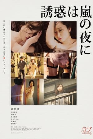 Poster The Temptation Came at Stormy Night (2016)