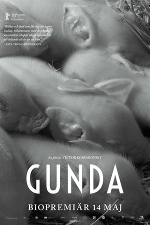 Gunda 19