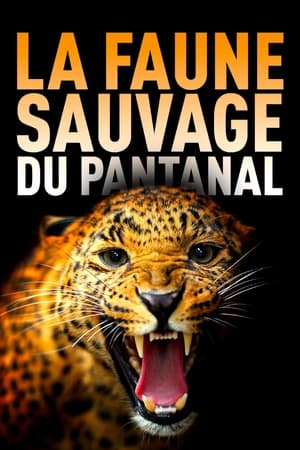 Poster La faune sauvage du Pantanal : entre félins et tamanoirs 2021