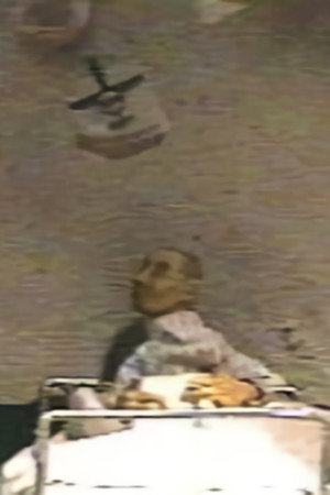 Megalomania of D (1998)