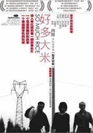 好多大米 (2005)