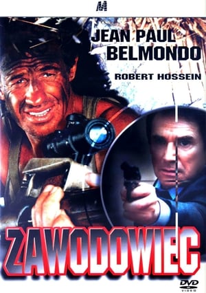 Poster Zawodowiec 1981