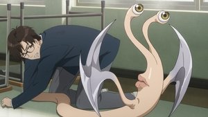 Parasyte -the maxim-: 1×4