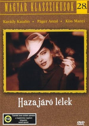 Hazajáró lélek poster