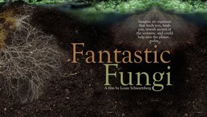 Fantastic Fungi (2019)