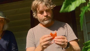 Tomatoes - Episode 2