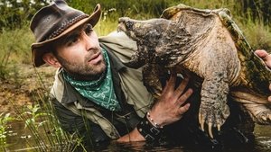 Coyote Peterson – Brave The Wild