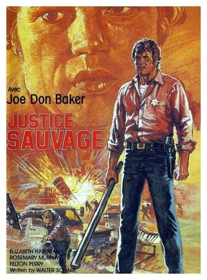 Justice sauvage 1973