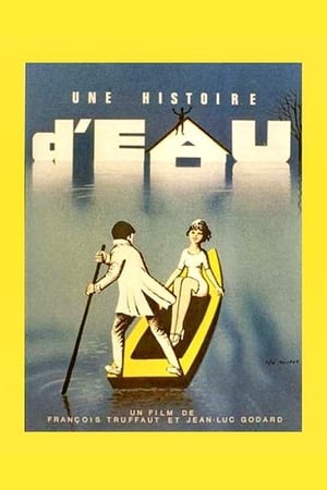 Poster Une histoire d'eau 1961